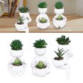 thumbnail image 1 of Pot Succulent Simulé, Pot Succulent Créatif pour Décoration Intérieure, 1 of 8
