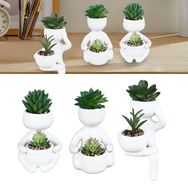 Pot Succulent Simulé, Pot Succulent Créatif pour Décoration Intérieure