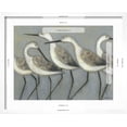 thumbnail image 5 of Art.com Shore Birds I Art Print by Norman Wyatt Jr^, White Frame Wall Art, 21" x 17", 5 of 5