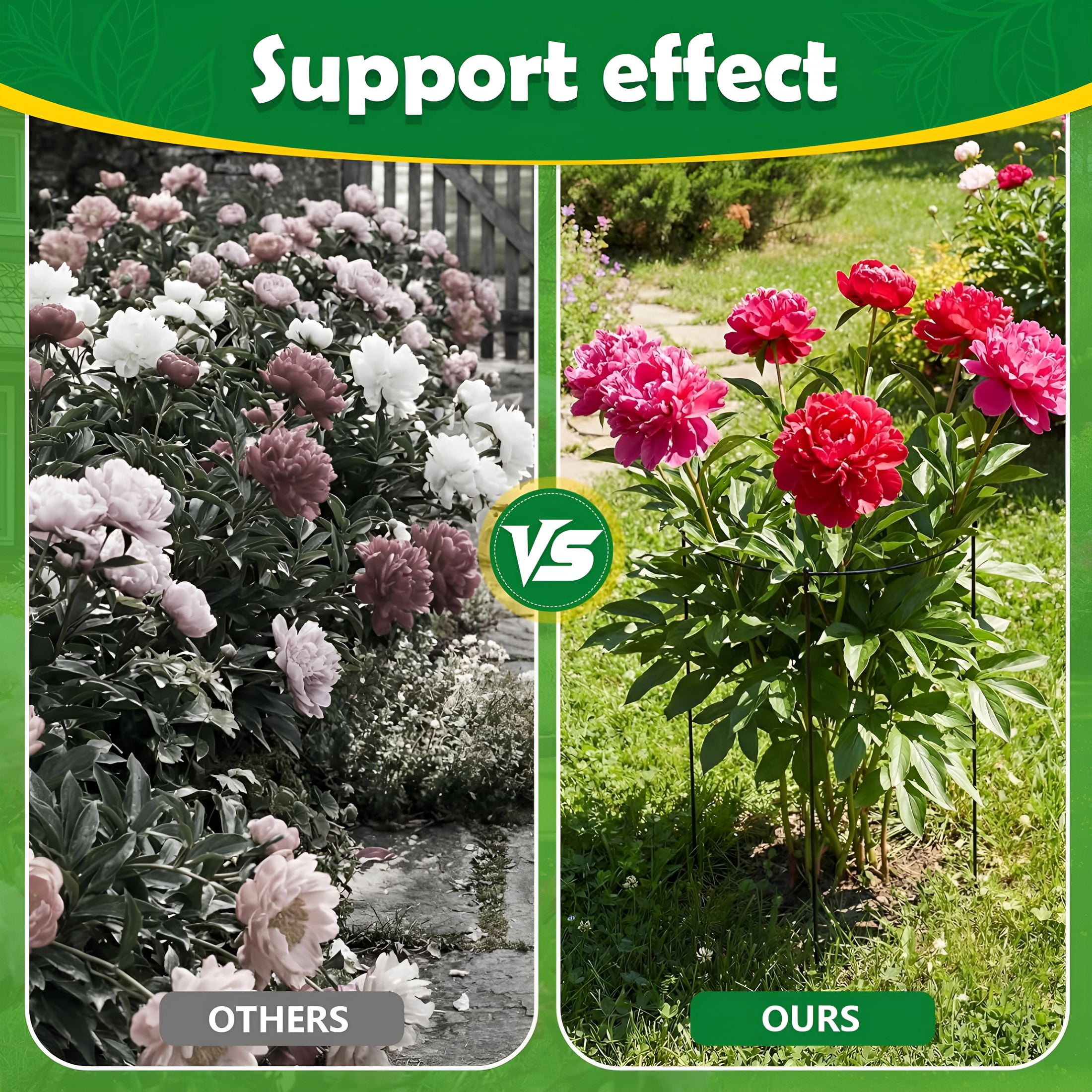 ZHZFKQ Peony Cages and Supports 8 Pack,12X16 Inch Heavy Duty Metal Plant Cage for Outdoor Plants-Grow through Flower Support Rings for Peonies,Roses,Tomatoes&Hydrangeas