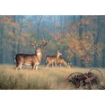 thumbnail image 1 of Reflective Art Autumn Glory Puzzle, 1 of 4