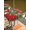 Red, variant on Outdoor Tablecloth with Umbrella Hole and Zipper, Christmas Round Table Cloth 54 Inch Waterproof Tablecloth, Red Cardinal Poinsettia Hut Berry Pine Needles Picnic Table Cover for Patio Camping