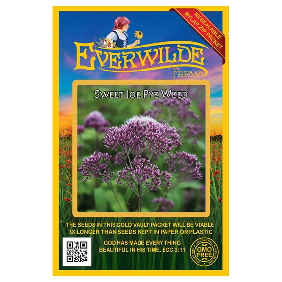 Everwilde Farms - 800 Sweet Joe Pye Weed Native Wildflower Seeds - Gold Vault Seed Packet