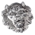 thumbnail image 1 of Hebilla de cinturón Baoblaze Jeans 3D Cabeza de león Accesorio de cinturón occidental, 1 of 4