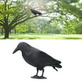 thumbnail image 5 of 2Pcs Simulation Plastic Crow Statue Black Crow Decoy for Attracting Birds Hunting Bait Decoys Tool for Outdoor Garden Yard Backyard Decoration, 5 of 8