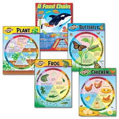 Cycle Combo Pack - Learning Chart Combo Pack Life Cycles 17w x 22h 5/Pack