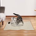 thumbnail image 5 of LULULION Home Cat Scratcher Mat Grey Wear Resistant Durable Protective Board for Cat Claw Grinding and Furniture Guard, 5 of 8