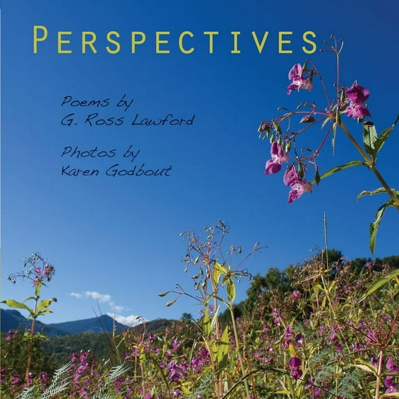 Perspectives (Paperback)