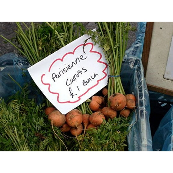 Carrot Paris Great Heirloom Vegetable by Seed Kingdom Bulk 1/4 Lb Seeds