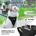 thumbnail image 3 of Set de arnés y correa para gatos rabbitgoo negro talla S, 3 of 8