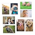 thumbnail image 2 of Magnetic Photo Holders for Refrigerator Magnetic Photo Picture Frames White Magnetic Photo Pockets Holds 4x6 Photos (10 Pack), 2 of 6