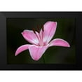 thumbnail image 2 of Crane, Rita 14x11 Black Modern Framed Museum Art Print Titled - Pink Lily II, 2 of 5