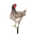 thumbnail image 4 of Adorno de césped para gallina, letrero para porche, de gallo, estaca para patio, estatua de jardín para pollo Estilo D, 4 of 8