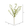 thumbnail image 3 of Vickerman FK180601 27 in. Green Eucalyptus Spray, 3 of 3