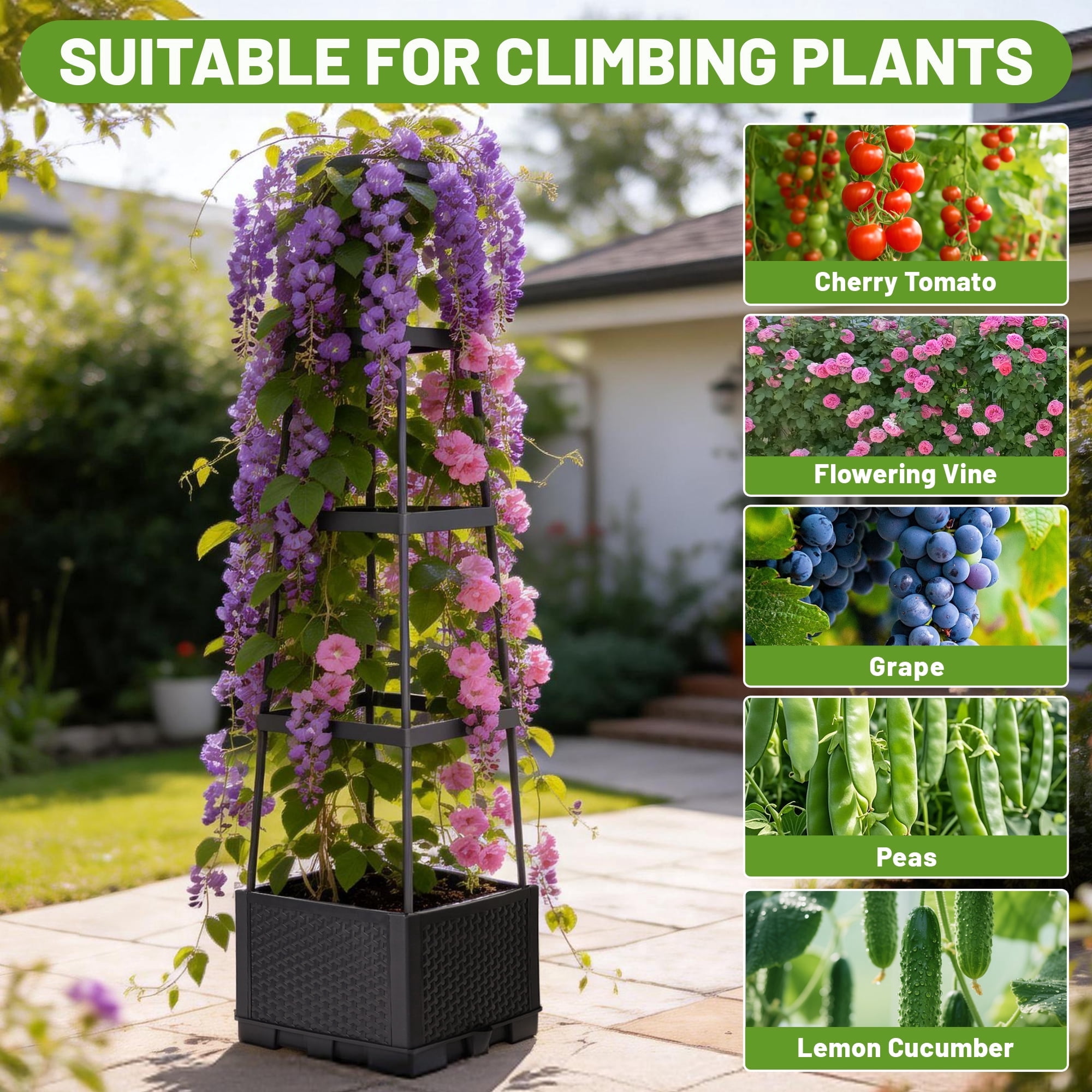 2 Pack Tomato Cages for Garden, Garden Bed, Tomato Cage, Planter Box with Trellis, MOJINO 57" Self-Watering Tomato Planter for Climbing Plants Vegetables Flowers Outdoor Indoor