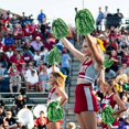thumbnail image 4 of Cheerleading Flower Ball Cheerleading Team Hand Flower Hand Shake Flower Flower Ball, 4 of 4