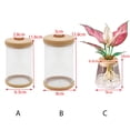 thumbnail image 2 of Round 1 pcs for Indoor/Outdoor Resin Material Aquatic Plant Imitation Glass Flower Planter Garden Supplies Hydroponic Flowerpot Home Decor C, 2 of 8