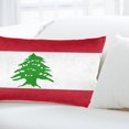 thumbnail image 6 of Lebanese-Flag Rectangle Throw Pillow Cover Cushion Case Hidden Zipper Home Decorative Pillowcase Printed 14"x20", 6 of 7