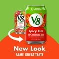 V8 Spicy Hot 100 Vegetable Juice, 11.5 Fl Oz (Pack of 24)
