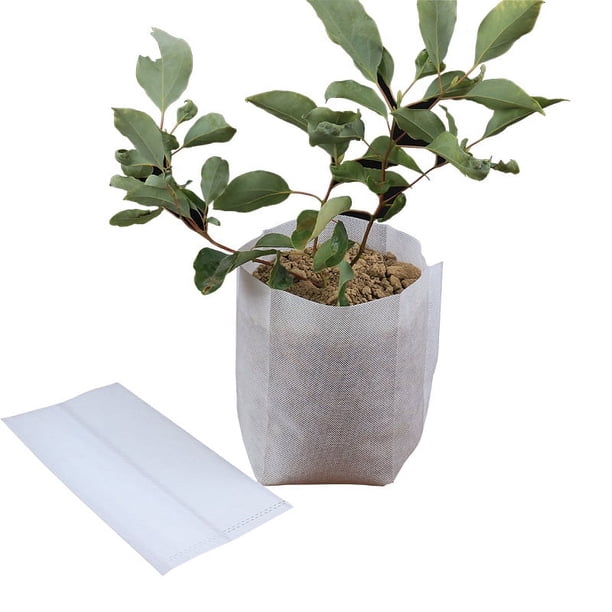 Zhuge Bolsas de siembra biodegradables de 200 piezas, bolsa de plántulas de tela no tejida blanca, taza de nutrición de sustrato ligero, bolsa de plántulas de frutas, 4,72 * 5,12 pulgadas