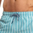 thumbnail image 4 of RIPT Essentials Mens Stripe Swim Shorts, 4 of 4