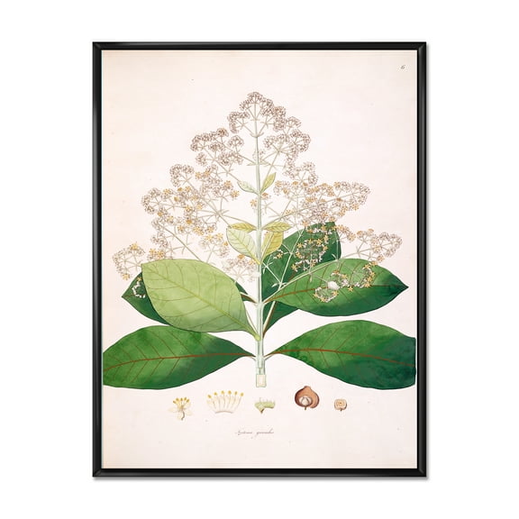Designart 'Ancient London Plants III' Farmhouse Framed Canvas Wall Art Print