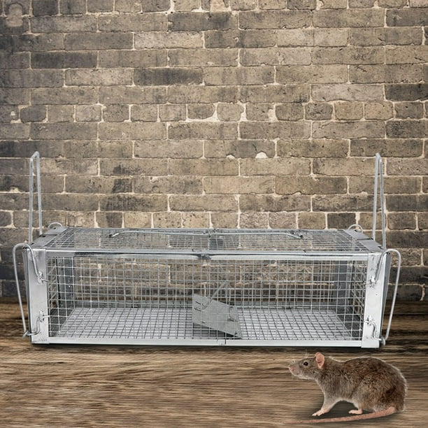 Cage De Piège, Attraper Des écureuils Cage De Piège à Souris Haute  Résistance Fer Réutilisable Pour Une Utilisation En Extérieur 