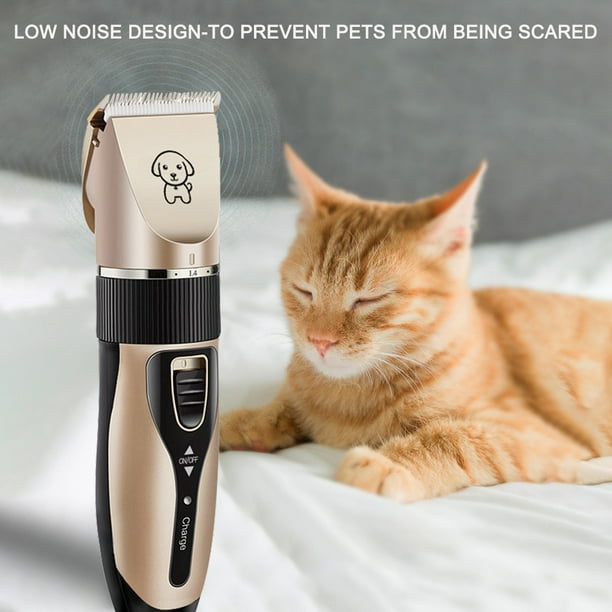 Tondeuse à cheveux pour animaux de compagnie électrique USB sans fil rasoir  tondeuse chat rasoir