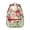 Red-13, variant on Formula Students Backpack Educational Wall Science Classroom School Bag with Chemistry Physics Biology Design, Durable and Lightweight for Students