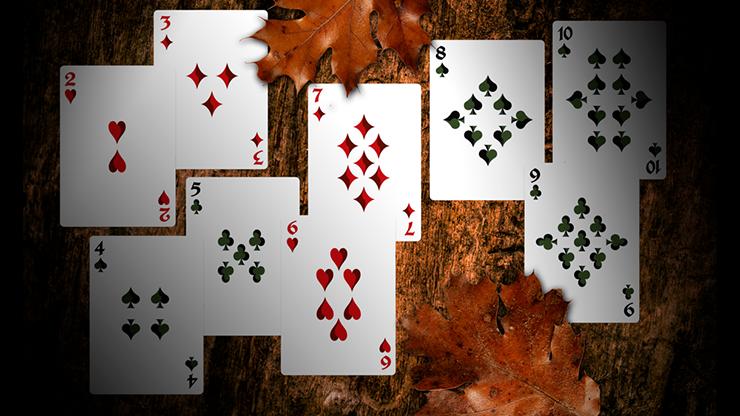 Secret Tale of Robin Hood: Black Owl Playing Cards by Dutch Card House