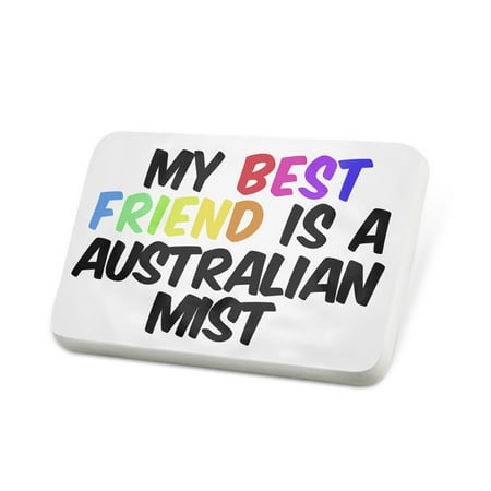 Porcelein Pin My best Friend a Australian Mist Cat from Australia Lapel Badge – (Best Cat Litter Australia)