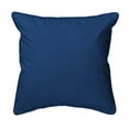 thumbnail image 3 of Betsy Drake SN825 11 x 14 in. Blue Grosebeak Small Pillow, 3 of 3