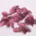 thumbnail image 4 of 50 Piezas Hermosos Teñidos de s de de de Pollo Decoración Artesanal Rosado Baoblaze Plumas de gallo faisán, 4 of 8