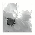 thumbnail image 2 of Gango Home Decor Contemporary Blooming Daisy II B&W by Monika Burkhart (Printed on Paper); One 16x16in Fine Art Paper Giclee Print, 2 of 4