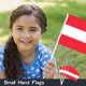 thumbnail image 5 of Bandera portátil AhfuLife Austria, 15 unidades, para la Copa del Mundo 2026, 5 of 6