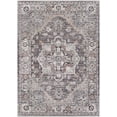 thumbnail image 6 of BoutiqueRugs Banstead Traditional Area Rug - Outdoor Safe - Light Gray, Black, Medium Gray - 6'7" x 9', 6 of 6