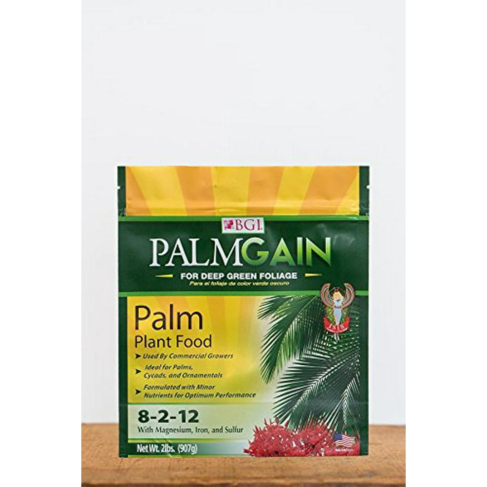 PALMGAIN 2lb Bag, Palm Tree Fertilizer, Ferns, Cycads, Ixora - Walmart Palm Tree Fertilizer 8 2 12