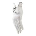 thumbnail image 3 of pitrice Men's Woman Golf Glove Left Hand Player Micro Soft Fiber Comfortable 17.5cm, 3 of 8
