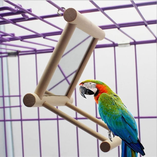 Espejo para pájaros, columpio para pájaros, juguetes para jaula de loros, columpio para colgar con espejo para guacamayos, grises africanos, periquitos, cacatúas, cacatúas, agapornis, canarios, 1