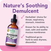 Botanic Choice Marshmallow Root Liquid Extract , Respiratory & Throat Health Support, Gluten-free, Non GMO, Alcohol-Free ,1 oz