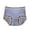 Blue, variant on Women's Panties Women's Sheer Mesh Briefs with Spring Comfort Ice Silk Panties for Everyday Wear Pink XL