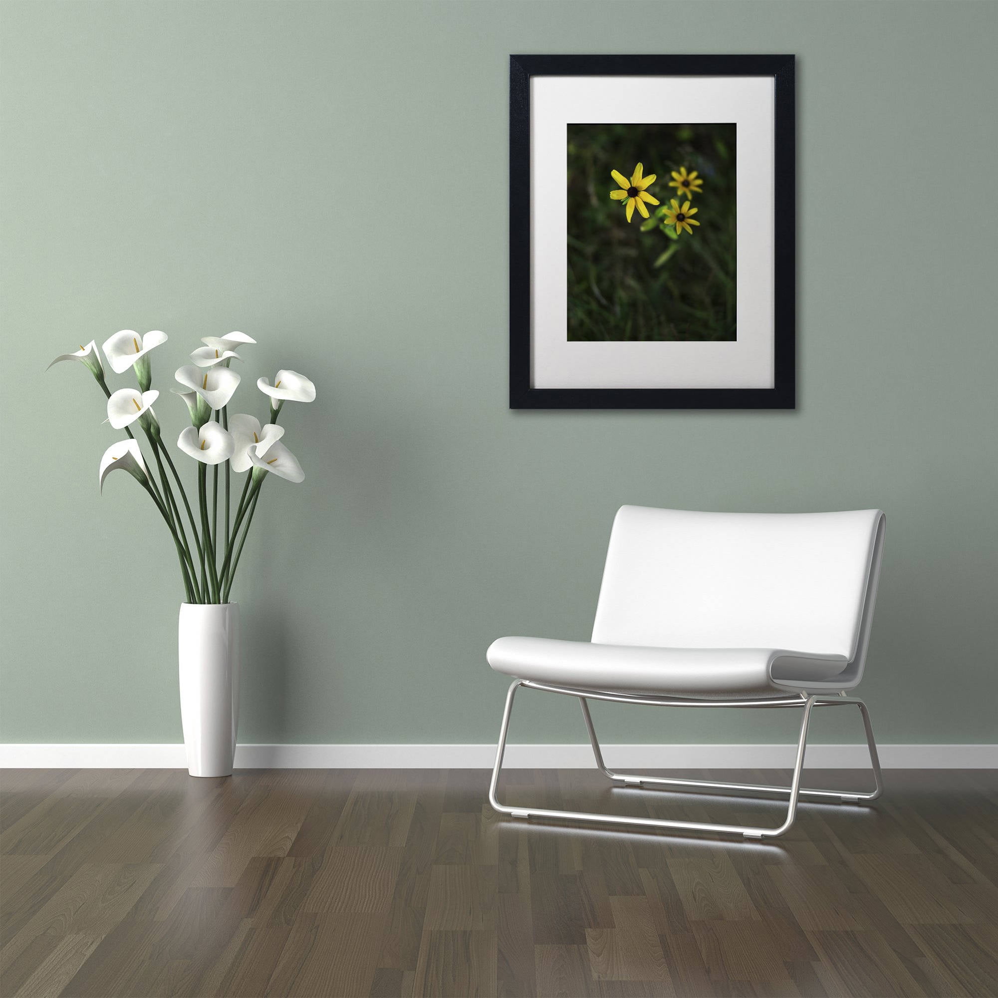 Trademark Fine Art "Brown-Eyed Susan" Canvas Art by Kurt Shaffer, White Matte, Black Frame