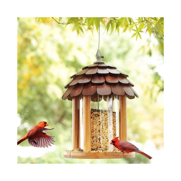 Guía de aves al aire libre, observación, dispositivo de alimentación, vida silvestre, villa con patio paisajístico