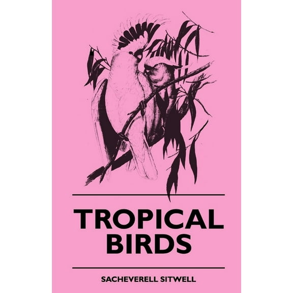 Tropical Birds, (Paperback)