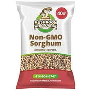 MushroomMediaOnline - White Sorghum (Milo) Mushroom Substrate Grain - Organic - Non GMO - 40 Pound Bag