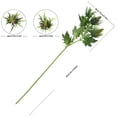 thumbnail image 4 of MINKUROW 2pcs Real Size Artificial Thistle Flowers Real Touch Rustic Blue Thistle Decor Spray Eryngium | Sea Holly for Wedding 26 inches Purple Green, 4 of 5