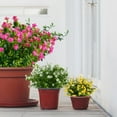 thumbnail image 5 of Morttic 8 Bundles Artificial Flowers, Fake Artificial Greenery UV Resistant No Fade Faux Plastic Plants for Wedding Bridle Bouquet Indoor Outdoor Home Garden Kitchen Office Table Vase(Pink), 5 of 6