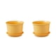 thumbnail image 2 of Monstrate Maceta para maceta, maceta para hierbas, contenedor suculento con platillo Amarillo M【diámetro 15cm】 2Conjunto, 2 of 6