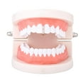 thumbnail image 3 of Rhinestone Bar Dientes Fang Grills Dientes Gorras Hippy Jewelry Rose Gold Oro rosa Zulema Boca boca tapa de tomas, 3 of 6