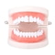 thumbnail image 3 of Rhinestone Bar Dientes Fang Grills Dientes Gorras Hippy Jewelry Rose Gold Oro rosa Zulema Boca boca tapa de tomas, 3 of 6
